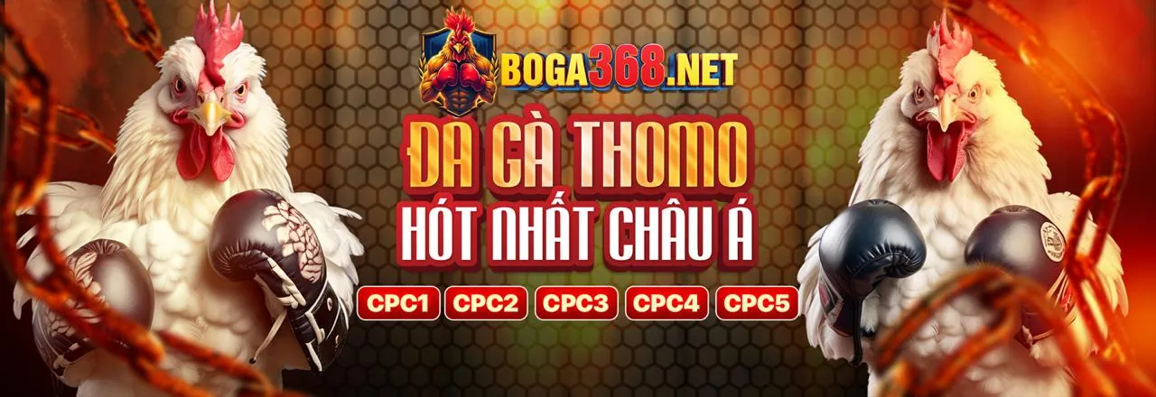 Câu Lạc Bộ VIP tải ok355