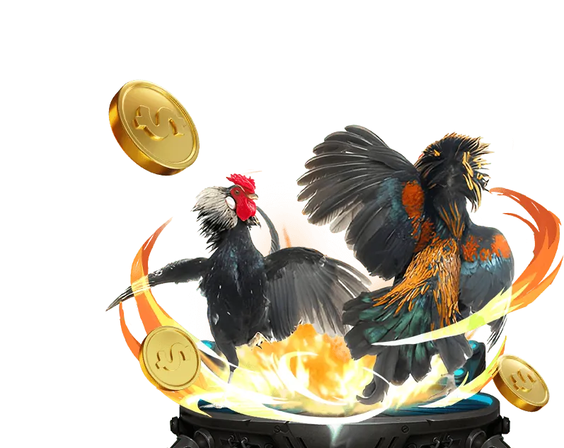 Cá cược Esports tại OK355